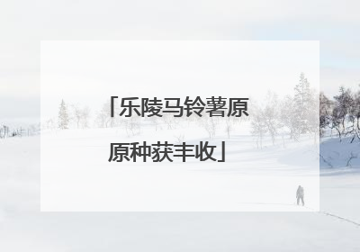 乐陵马铃薯原原种获丰收