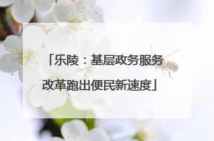 乐陵：基层政务服务改革跑出便民新速度