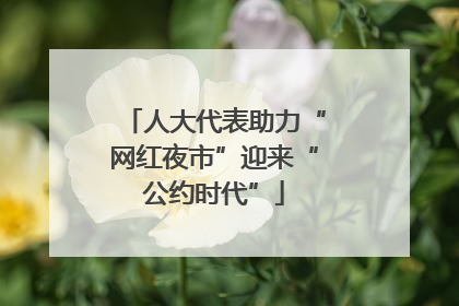 人大代表助力“网红夜市”迎来“公约时代”