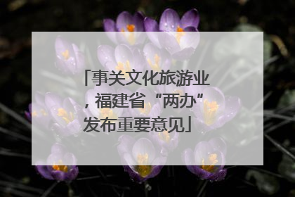 事关文化旅游业，福建省“两办”发布重要意见