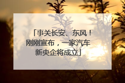 事关长安、东风！刚刚宣布，一家汽车新央企将成立