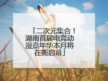 二次元集合！湖南首届电竞动漫嘉年华本月将在衡启幕