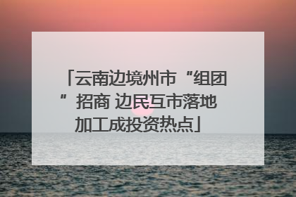 云南边境州市“组团”招商 边民互市落地加工成投资热点