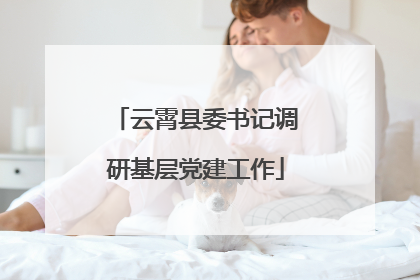 云霄县委书记调研基层党建工作