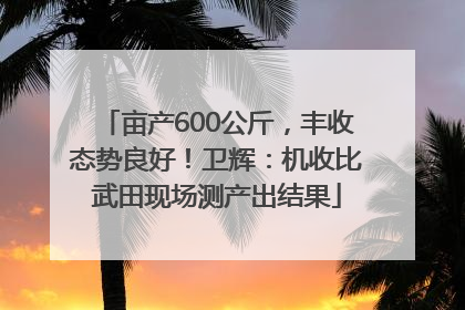 亩产600公斤，丰收态势良好！卫辉：机收比武田现场测产出结果