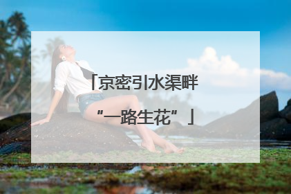 京密引水渠畔“一路生花”
