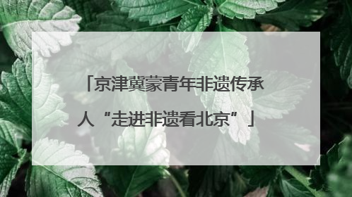 京津冀蒙青年非遗传承人“走进非遗看北京”