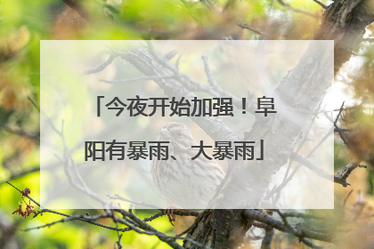 今夜开始加强！阜阳有暴雨、大暴雨