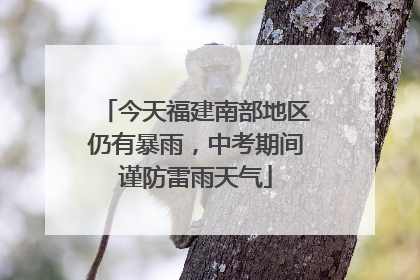 今天福建南部地区仍有暴雨，中考期间谨防雷雨天气