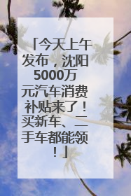 今天上午发布，沈阳5000万元汽车消费补贴来了！买新车、二手车都能领！