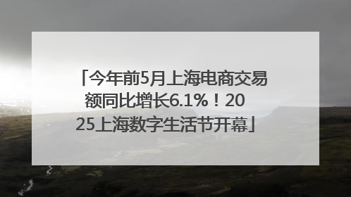 今年前5月上海电商交易额同比增长6.1%！2025上海数字生活节开幕