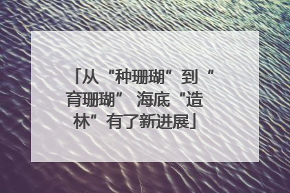 从“种珊瑚”到“育珊瑚” 海底“造林”有了新进展