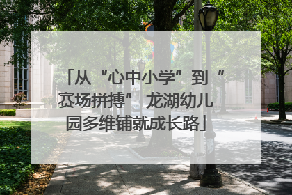 从“心中小学”到“赛场拼搏” 龙湖幼儿园多维铺就成长路