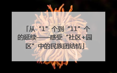 从“1”个到“11”个的延续——感受“社区+园区”中的民族团结情