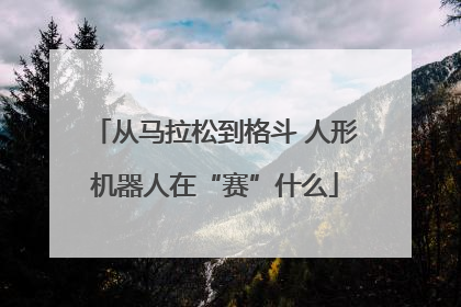 从马拉松到格斗 人形机器人在“赛”什么