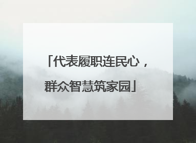 代表履职连民心，群众智慧筑家园