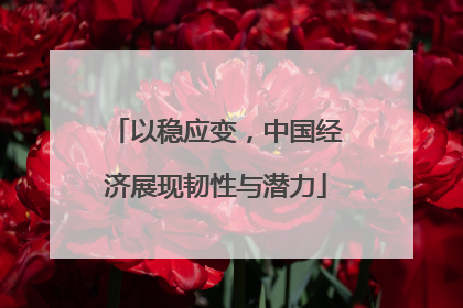以稳应变，中国经济展现韧性与潜力