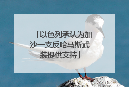 以色列承认为加沙一支反哈马斯武装提供支持