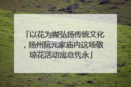 以花为媒弘扬传统文化，扬州阮元家庙内这场敬琼花活动寓意隽永