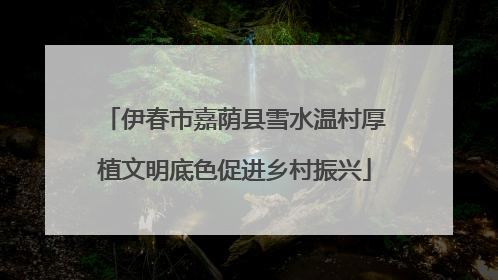 伊春市嘉荫县雪水温村厚植文明底色促进乡村振兴