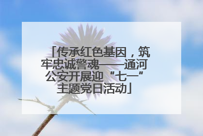 传承红色基因，筑牢忠诚警魂——通河公安开展迎“七一”主题党日活动