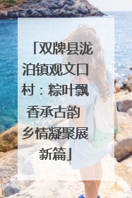 双牌县泷泊镇观文口村：粽叶飘香承古韵 乡情凝聚展新篇