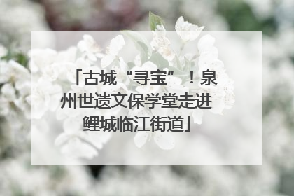 古城“寻宝”！泉州世遗文保学堂走进鲤城临江街道