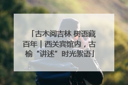 古木阅吉林 树语藏百年｜西关宾馆内，古榆“讲述”时光絮语