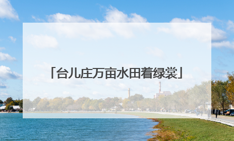 台儿庄万亩水田着绿裳