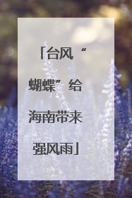 台风“蝴蝶”给海南带来强风雨