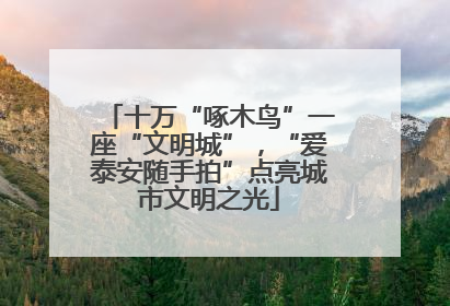 十万“啄木鸟”一座“文明城”，“爱泰安随手拍”点亮城市文明之光
