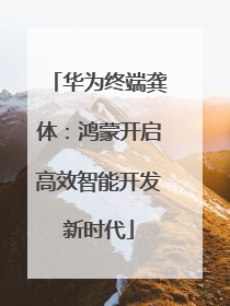 华为终端龚体：鸿蒙开启高效智能开发新时代