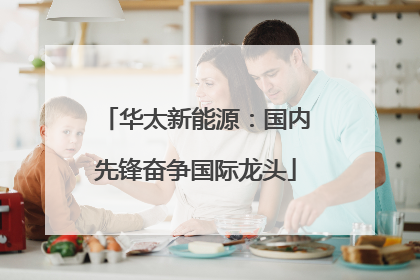 华太新能源：国内先锋奋争国际龙头
