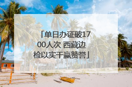 单日办证破1700人次 西藏边检以实干赢赞誉