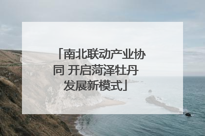 南北联动产业协同 开启菏泽牡丹发展新模式