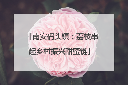 南安码头镇：荔枝串起乡村振兴甜蜜链
