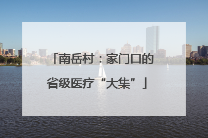 南岳村：家门口的省级医疗“大集”