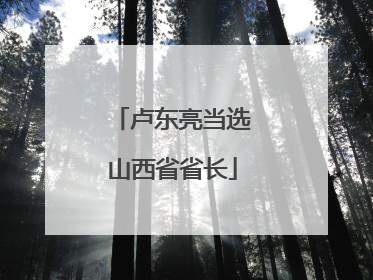 卢东亮当选山西省省长