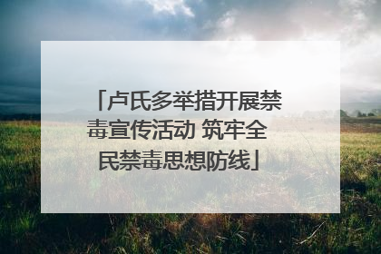 卢氏多举措开展禁毒宣传活动 筑牢全民禁毒思想防线