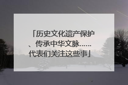 历史文化遗产保护、传承中华文脉……代表们关注这些事