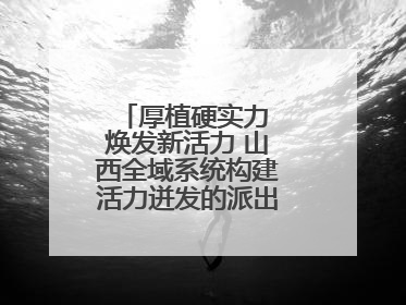 厚植硬实力 焕发新活力 山西全域系统构建活力迸发的派出所工作新生态
