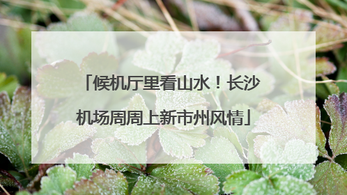 候机厅里看山水！长沙机场周周上新市州风情