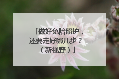 做好免陪照护，还要走好哪几步？（新视野）