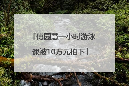 傅园慧一小时游泳课被10万元拍下