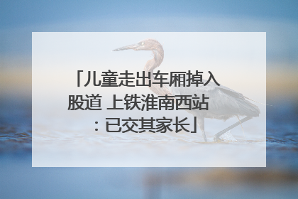 儿童走出车厢掉入股道 上铁淮南西站：已交其家长