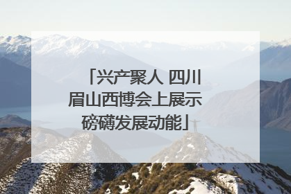 兴产聚人 四川眉山西博会上展示磅礴发展动能