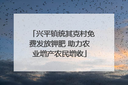 兴平镇统其克村免费发放钾肥 助力农业增产农民增收