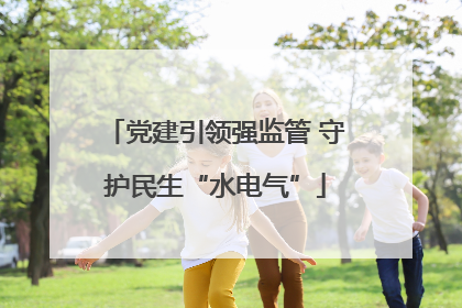 党建引领强监管 守护民生“水电气”