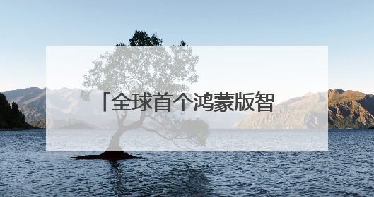 全球首个鸿蒙版智能指环APP发布