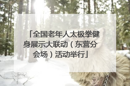 全国老年人太极拳健身展示大联动（东营分会场）活动举行